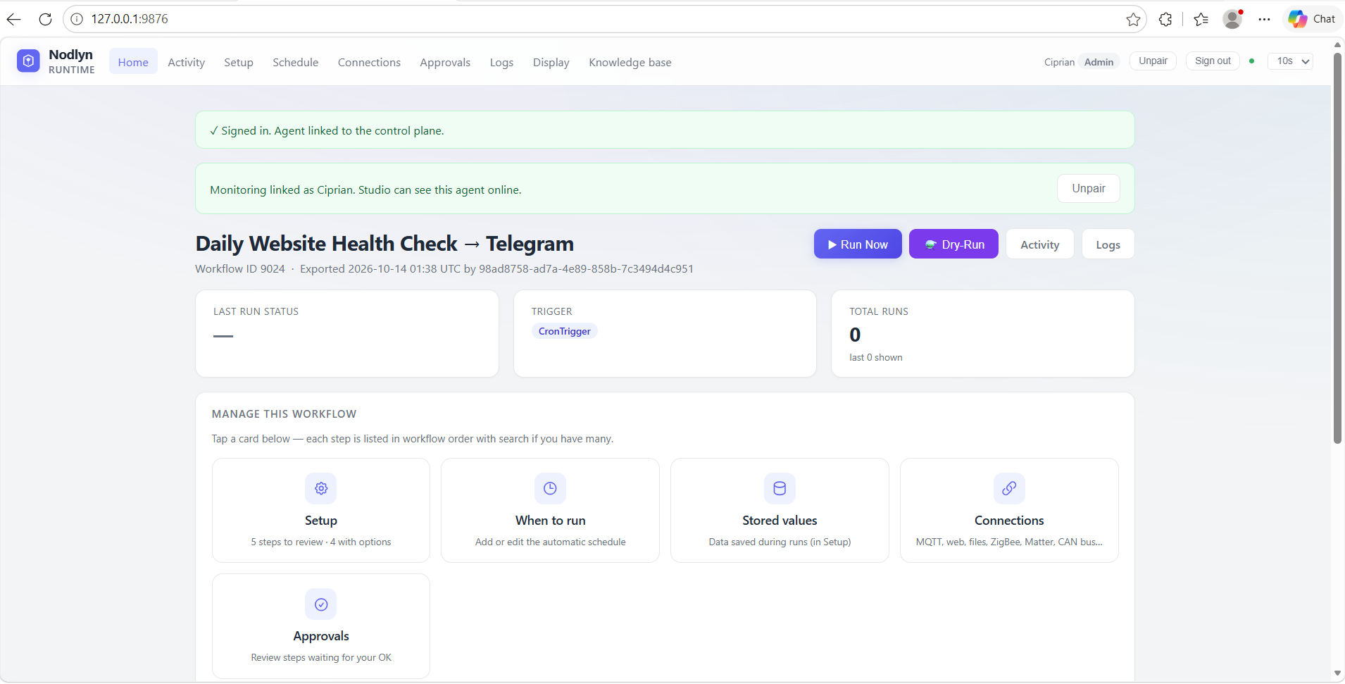 Runtime agent activity view