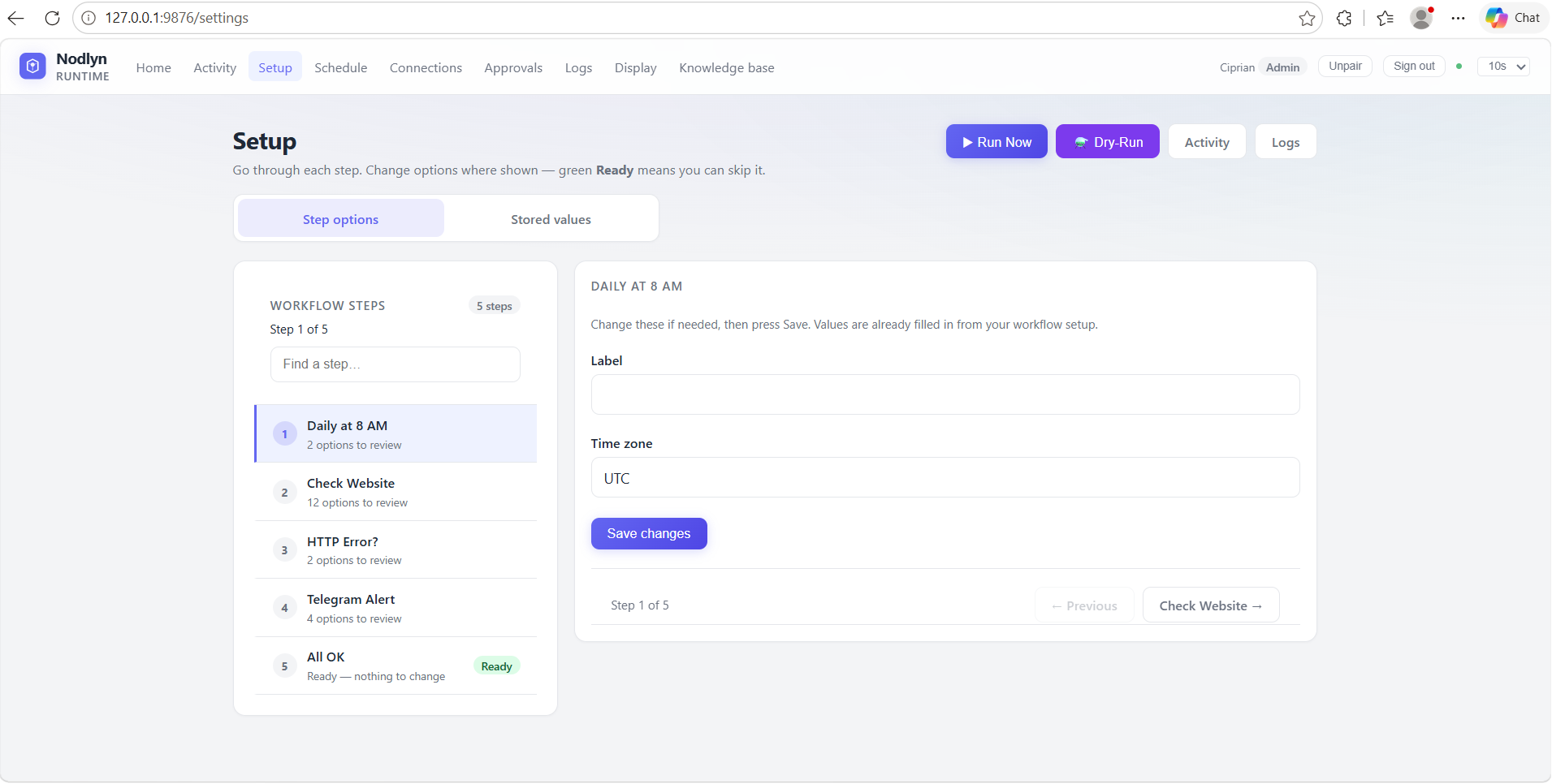 Runtime agent setup options